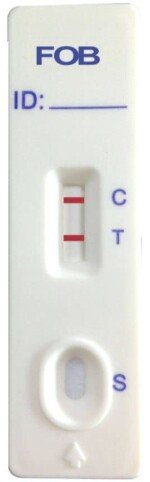 31fSc1-CC0L._SL1500_