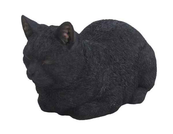 512bE44lnTL._SL1500_