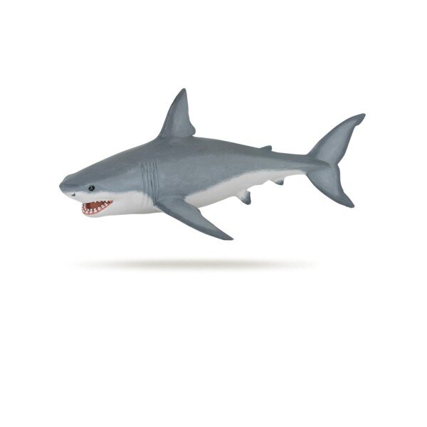 51RsfUHpvLL._SL1500_