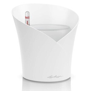 LECHUZA Self Watering Plant Pot Indoor ORCHIDEA Plastic Flower Small Orchid Pot without Drainage Hole D18 H19.5 cm White Matt