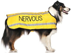 Dexil NERVOUS (Give Me Space) Yellow Colour Coded S M L Reflective Waterproof Fleece Lined Warm Dog Coats PREVENTS Accidents By Warning Others Of Your Dog In Advance (L-XL)
