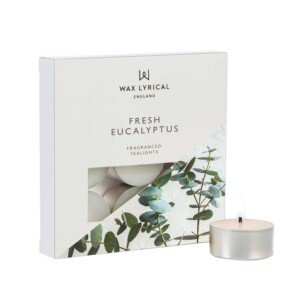 Wax Lyrical Box of 9 Scented Tealights, Fresh Eucalyptus, Multi, One Size, (WLE3019)