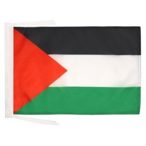 AZ FLAG - Palestine Flag - 18'' x 12'' - 100% Polyester Palestinian Small Banner with Two Cords - Fade Resistant - Vivid Colors - 18x12 in - 45x30 Cm
