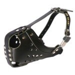 61N2JIGs-6L._SL1500_