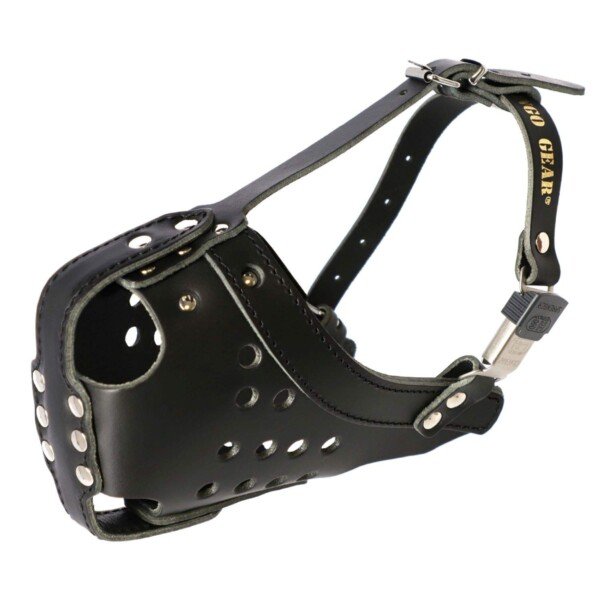61N2JIGs-6L._SL1500_