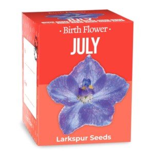 Gift Republic July Birth Flower Grow Kit – Larkspur Seeds + Eco Starter Pot – Grow Your Birth Flower – Thoughtful Gift -Birthday/Anniversary