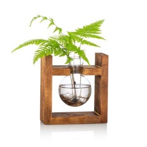 Propagation Station 1 Pc Bulb Vase Glass Sweet Pea Vase for Flowers Terrarium Jar Planter with Wooden Rack Stand Holders for Green Water Plants Fit for Home Kitchen Table Desk Indoor Decor