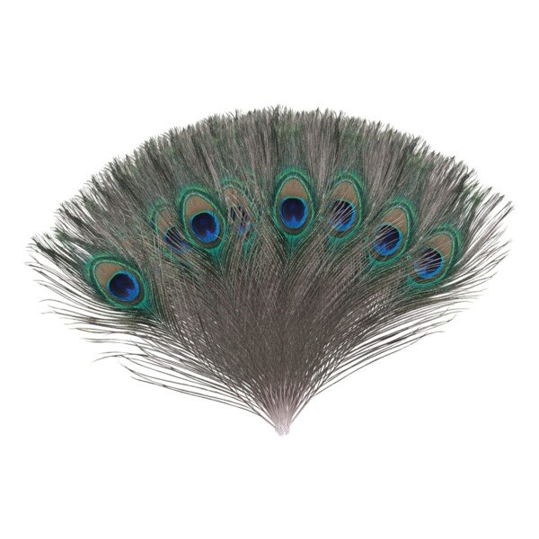 71DJYg2eLQS._SL1500_