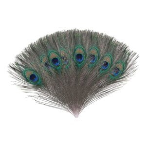 Trimming Shop Real Peacock Feather 10 inches - 12 inches Bird Tail Colourful Feathers Pack for Wedding Christmas Party Centerpiece Decoration, DIY Art & Craft, 10pcs