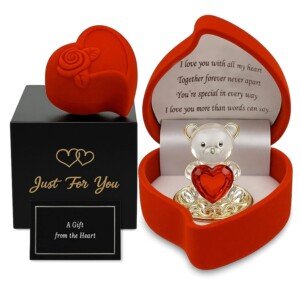 SAFRI Teddy Bear Girlfriend Boyfriend Husband Wife Fiancee Fiance Gift Christmas Valentines day Gift Boxed Glass Ornament Mum Mothers Day Present