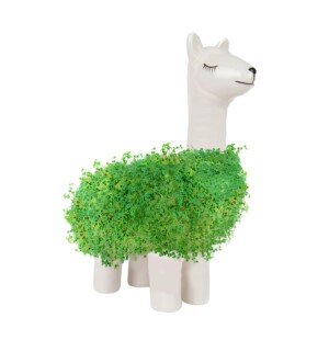 Gift Republic Llama Shaped Chia Planter, White
