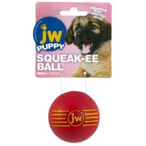 JW Isqueak Ball Small