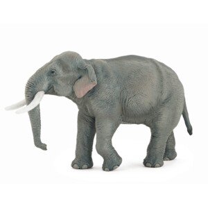 PAPO - Asian Elephant - Realistic Figurine - for Ages 3+ - Wild Animal Kingdom Collection - Hand Painted - Highly Detailed - Durable and Educational - Gift Idea - Collectable - asian elephant