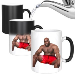 Barry Heat Change Mug - Funny Rude Mug - Message Appears as it Heats - Perfect Novelty Gag Gift, Best Funny Gifts and Pride Accessories (Barry)