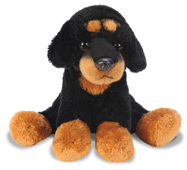71cBRIp-R3L._SL1500_