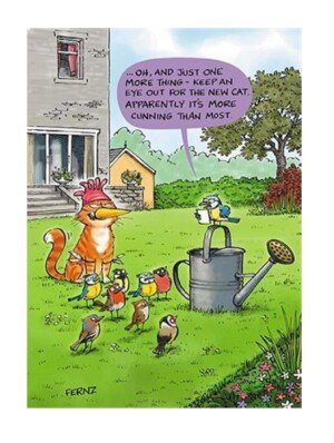 Humorous Greeting Card (PH6261) Birthday - New Cat - From The Animal Function Range.