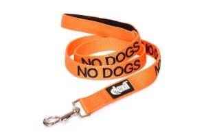 Dexil NO DOGS (Not Good With Other Dogs) Orange Warning Dog Colour Coded Luxury Padded Personalised 1.8m 6ft Lead Leash To Prevent Accidents or Incidents. Dog Award Winning