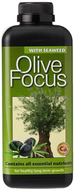 Olive Focus Liquid Concentrated Fertiliser 1 Litre