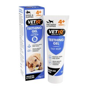 VETIQ Fast Pain Relief Teething Gel With Applicator, Relieves Irritation & Helps Reduce Unwanted Chewing For Dogs & Puppies 4+ Week, 50 g (Pack of 1)