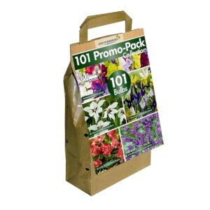 GreenBrokers 101 Promo Pack Collection Summer Flowering Bulbs, Mixed Colours (101 Bulbs, 5 Different Varieties) "Bee & Butterfly Friendly"