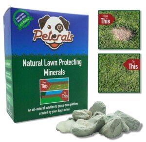 200g | All-Natural Dog Urine Neutraliser | Mineral Rocks for Water Bowls to Prevent & Repair Dog Grass Burn Patches