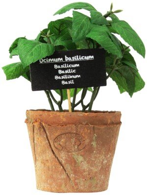 Esschert's Design AH008 Large Artificial Aged Terracotta Pot - Basil