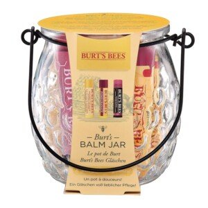 Burt's Bees Moisturizing Lip Balm Gift Set in Jar with 100% Natural Original Beeswax, Vitamin E, Mint and Hibiscus (4.3g)