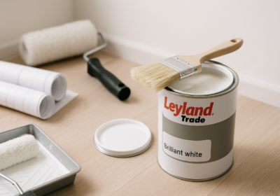 Top 7 Reasons to Choose Brilliant White Paint for Your Home Renovation – Leyland – DIY & Tools